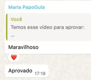 Feedback Papogula(3) copiar